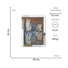 SOLEIO - Kit De Arte Pintura Diamantes Gatos 40 x 30 cm