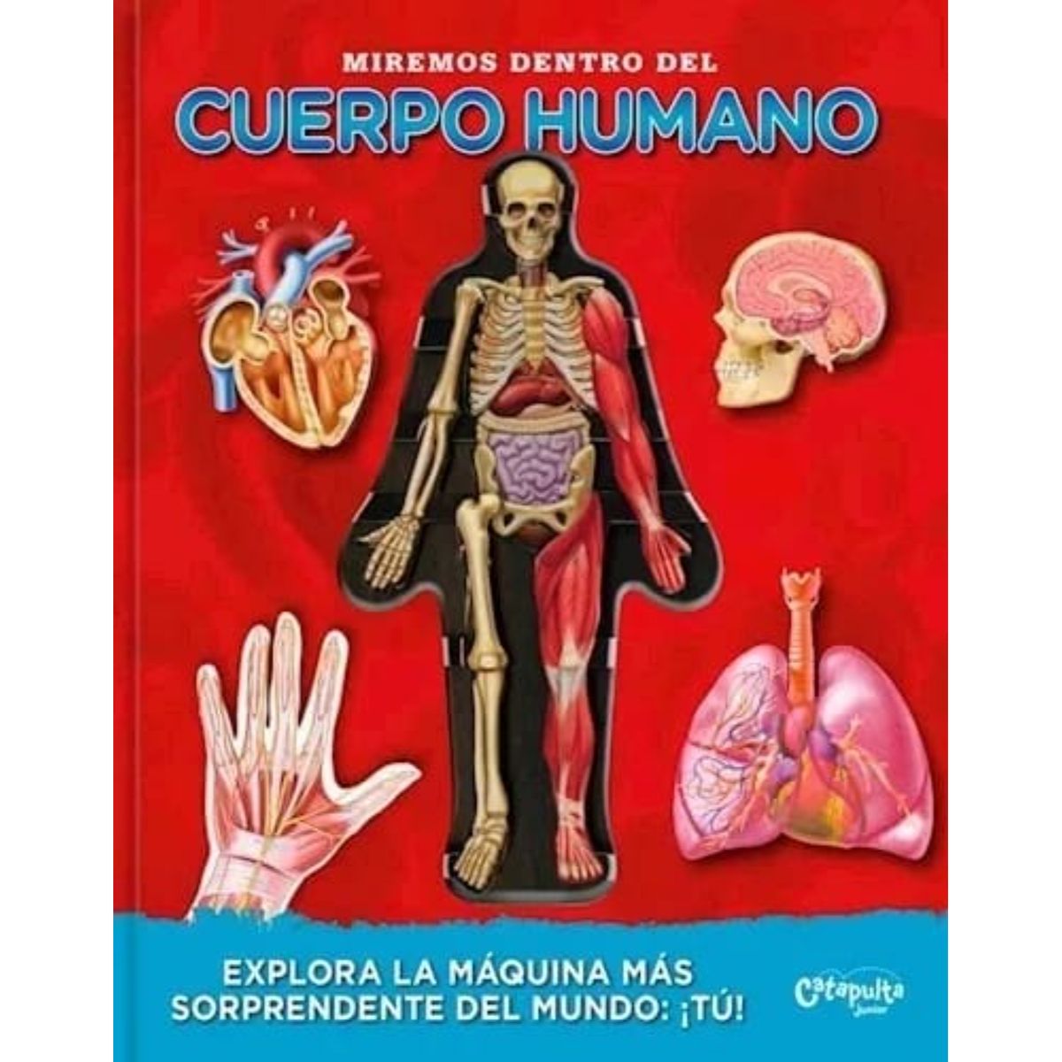 CATAPULTA EDITORES - Miremos Dentro Del Cuerpo Humano