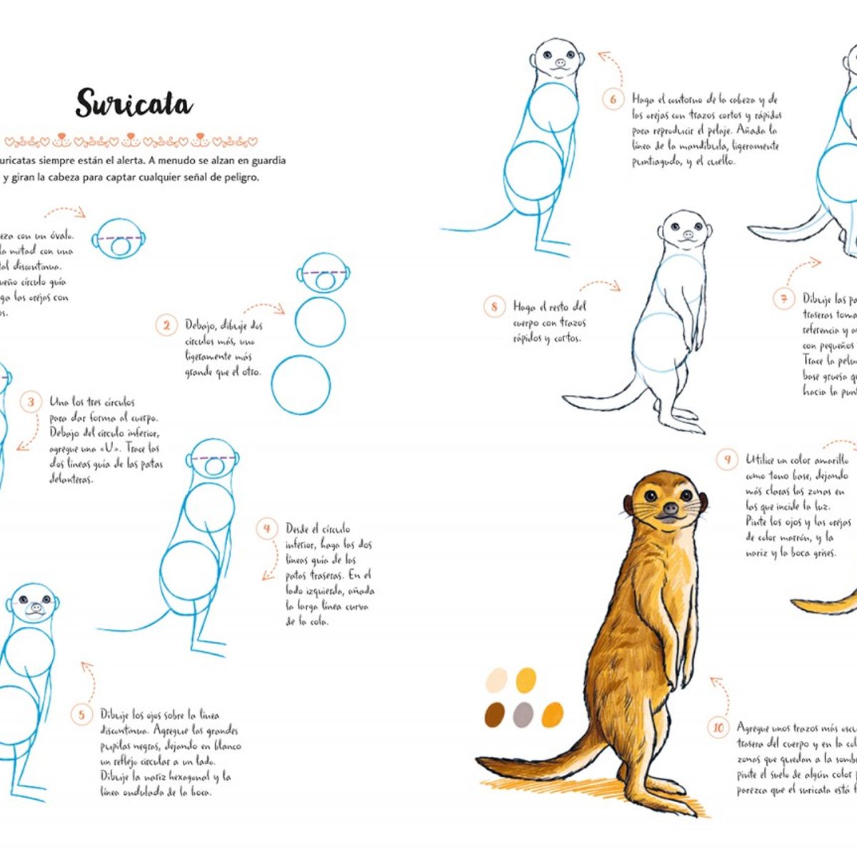 EDITORIAL CONTRAPUNTO - Dibujar en 10 pasos: Animales Adorables