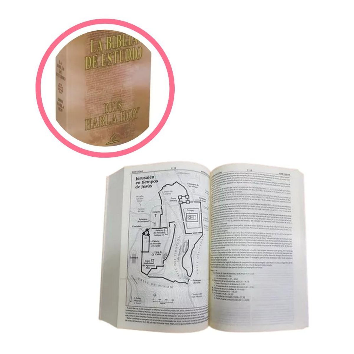 GENERICO - Biblia de Estudio Dios Habla Hoy con Deuterocanónicos