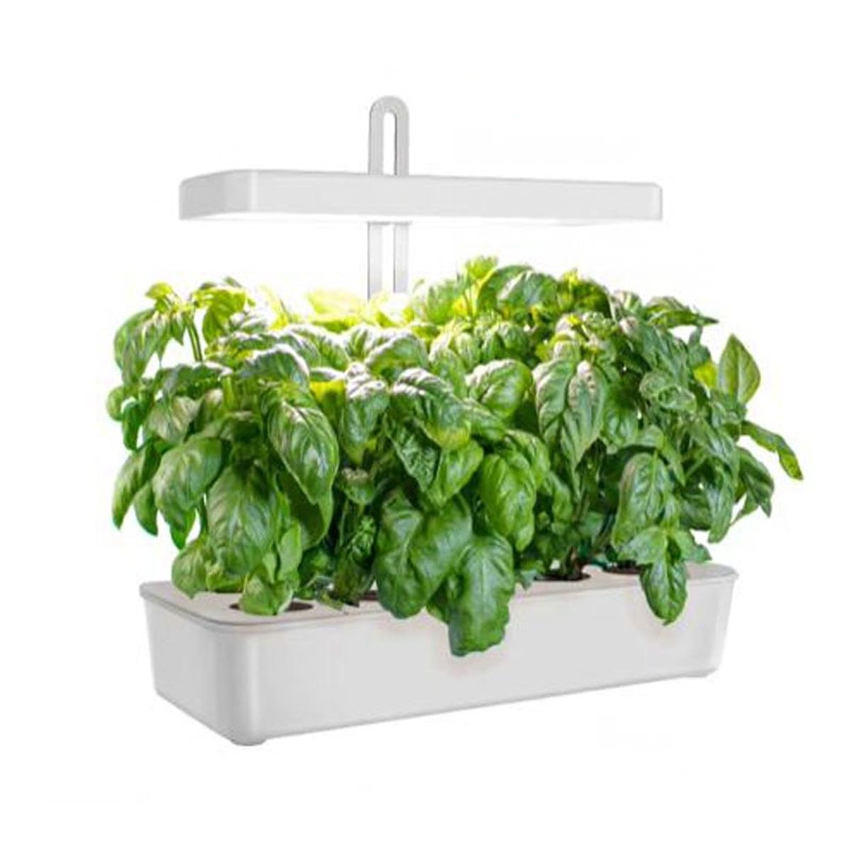 GENERICO - Sistema De Cultivo Hidropónico 10 Plantas Luz De Crecimiento