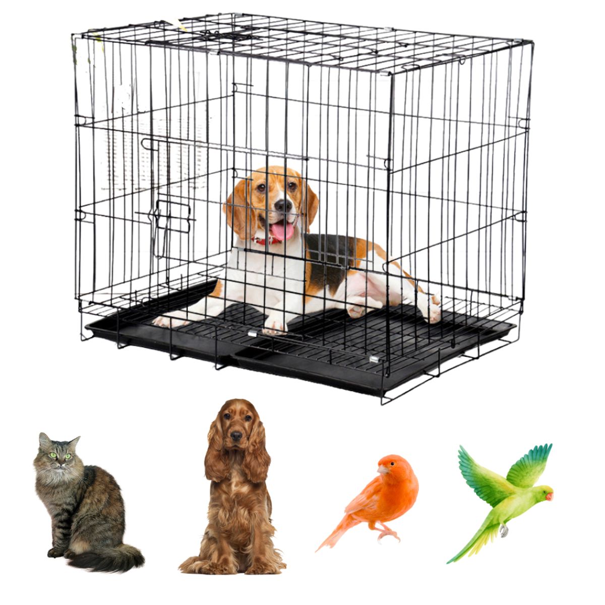 GENERICO - Canil Transportador Perros Animales Desarmable 2 Puertas