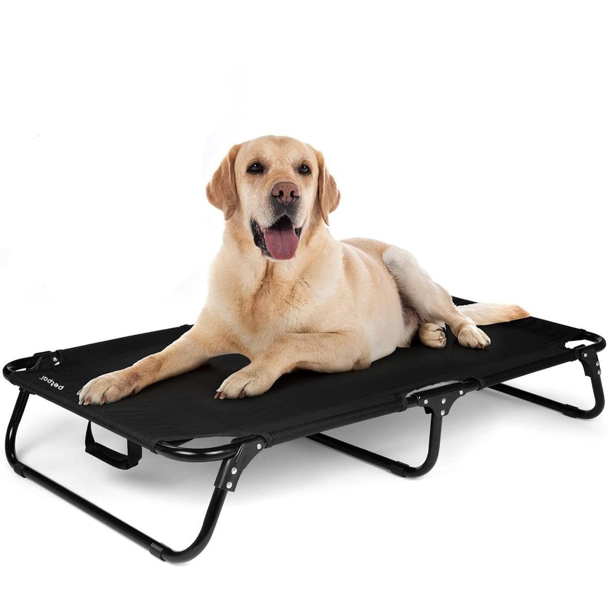 PETPAL - Cama Perro Gato Plegable Altura Elevada Petpal - Negro - L