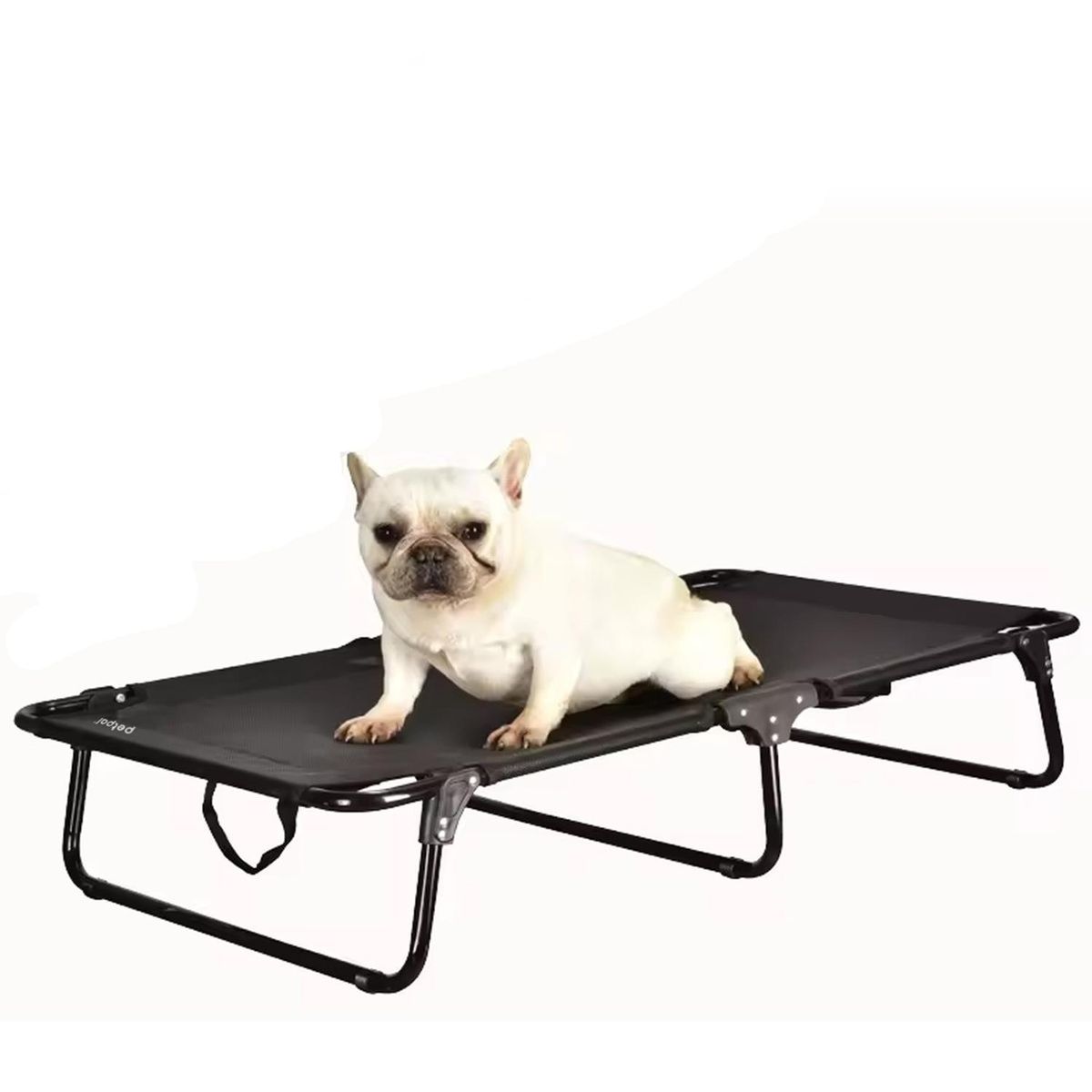 PETPAL - Cama Perro Gato Plegable Altura Elevada Petpal - Negro - M