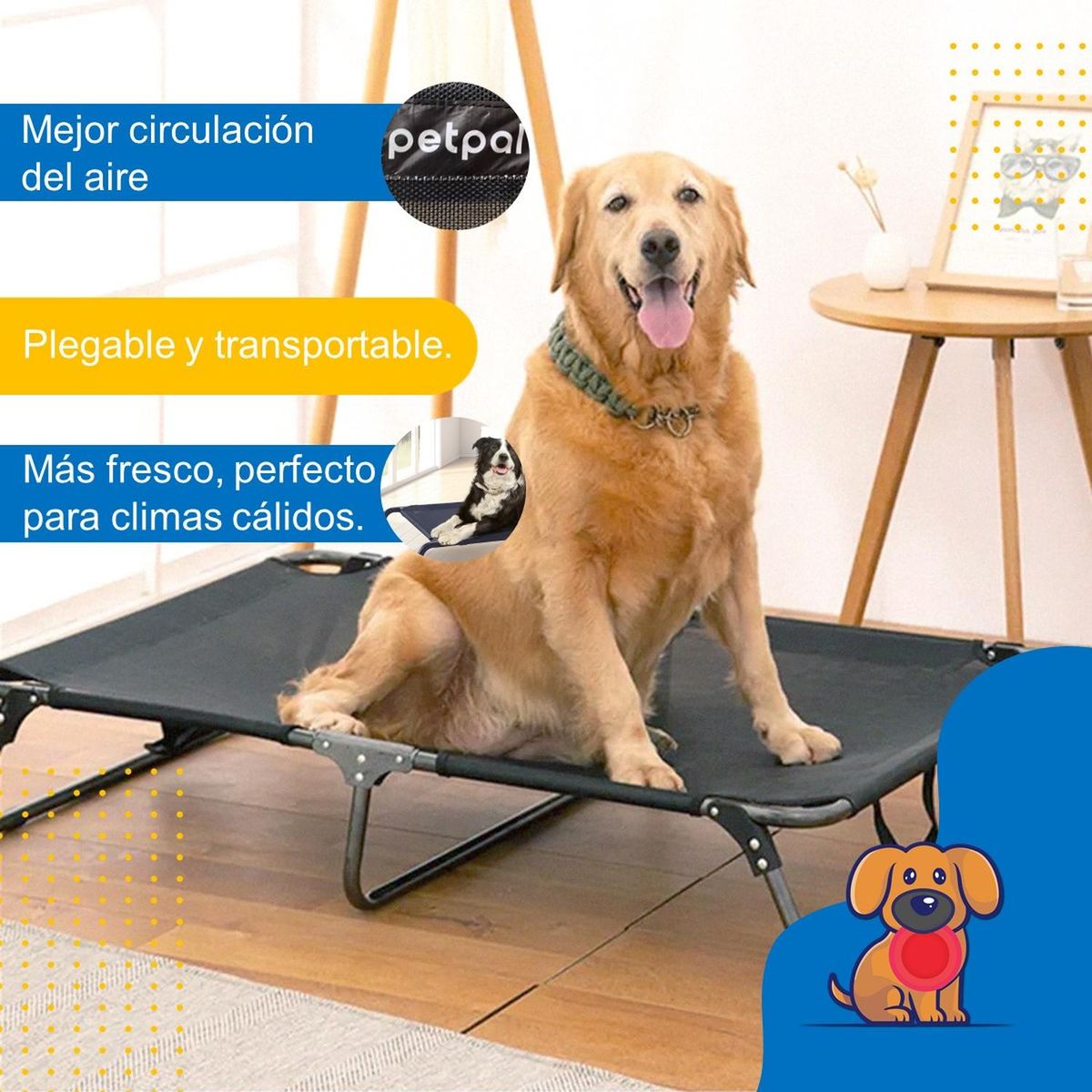 PETPAL - Cama Perro Gato Plegable Altura Elevada Petpal - Negro - M