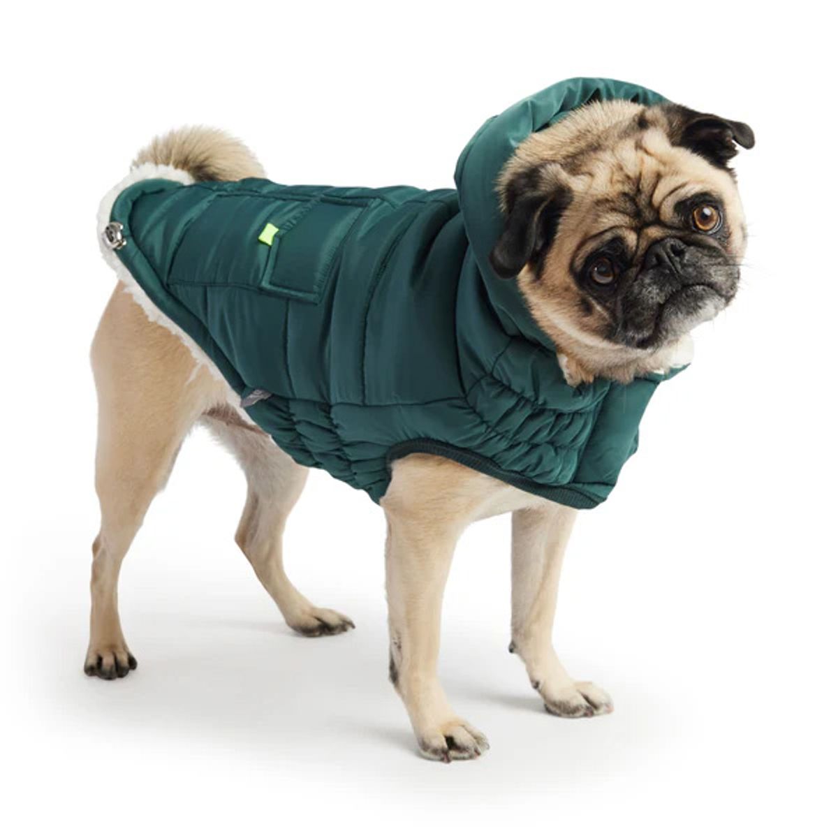GFM - Parka Para Perro GFPet Super Puff Teal Verde - Talla Medium