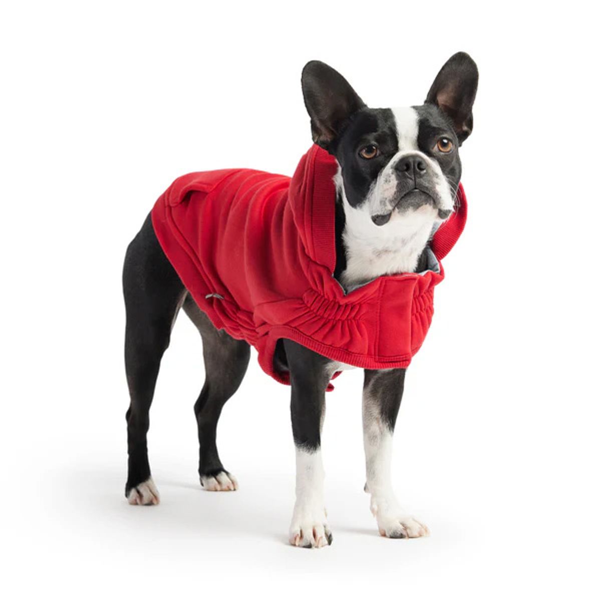 GFM - Poleron Para Perro GFPet Urban Rojo - Talla Small