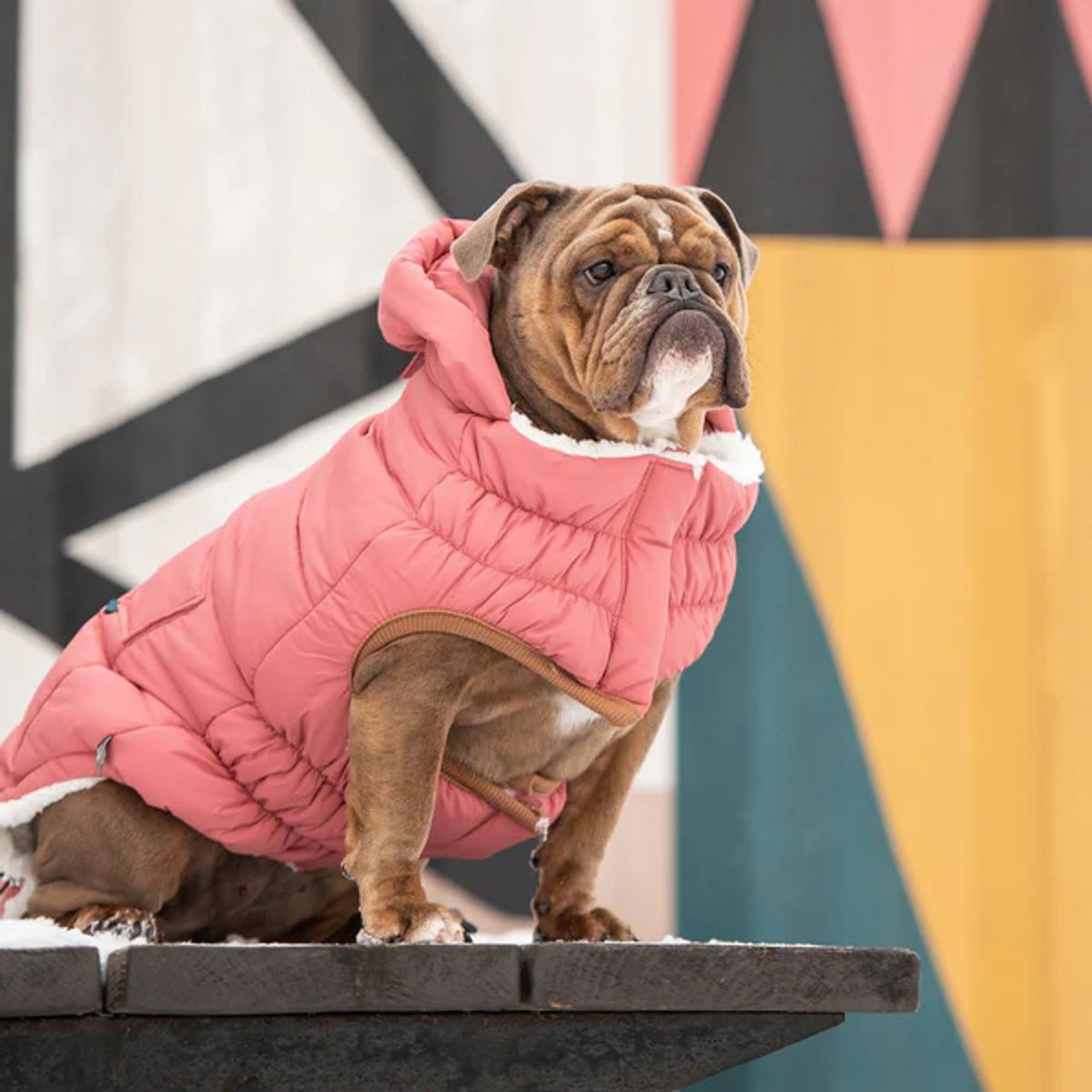 GFM - Parka Para Perro GFPet Super Puff Rosa - Talla Medium