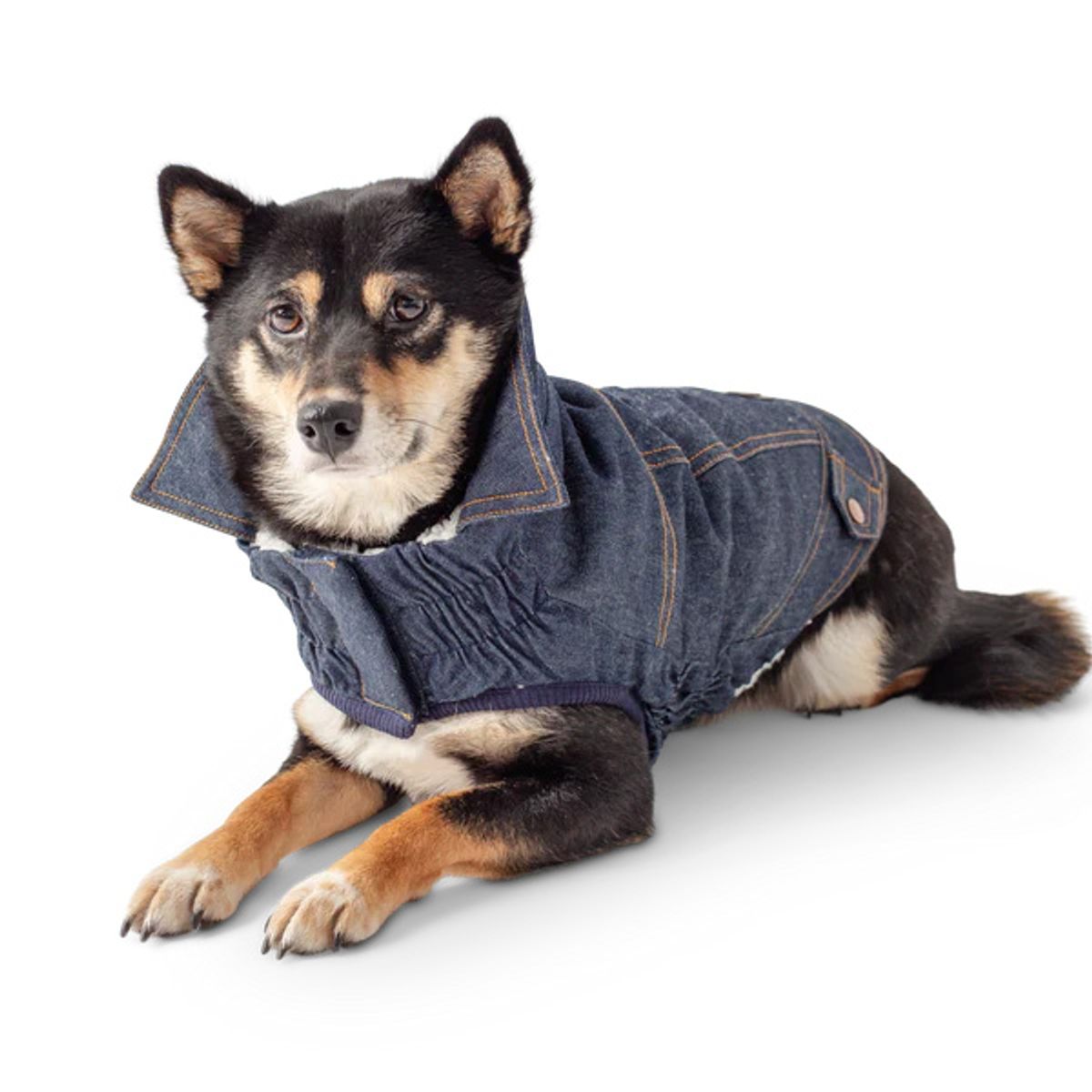 GFM - Chaqueta GFPet Denim Para Perro - Talla Medium