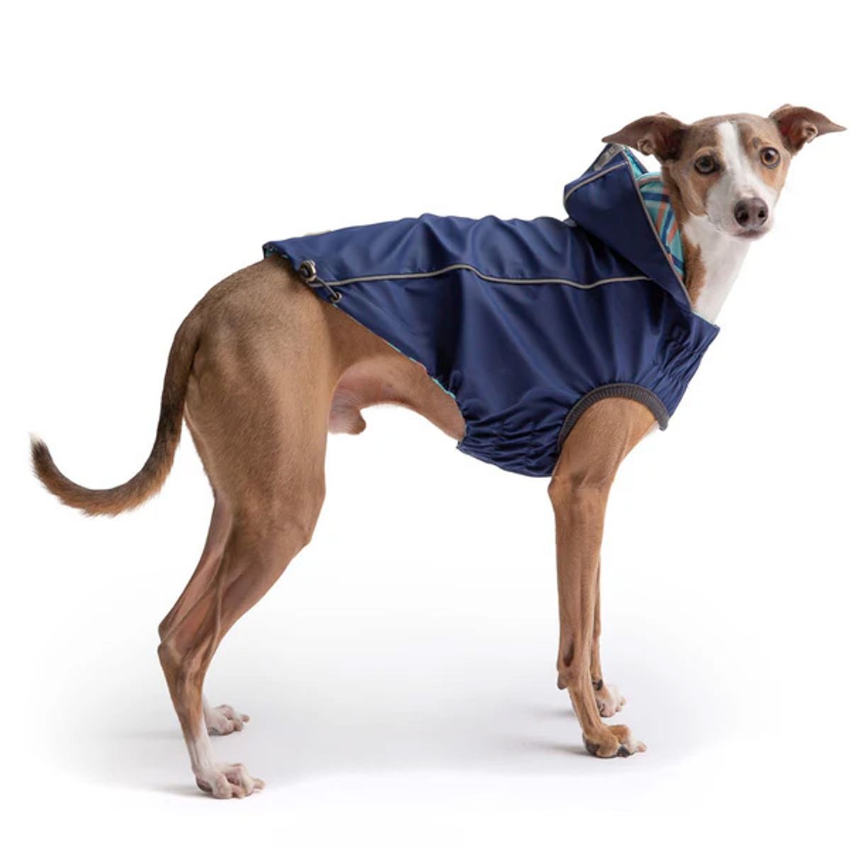 GFM - Impermeable Para Perro GFPet Reversible Azul - Talla Small