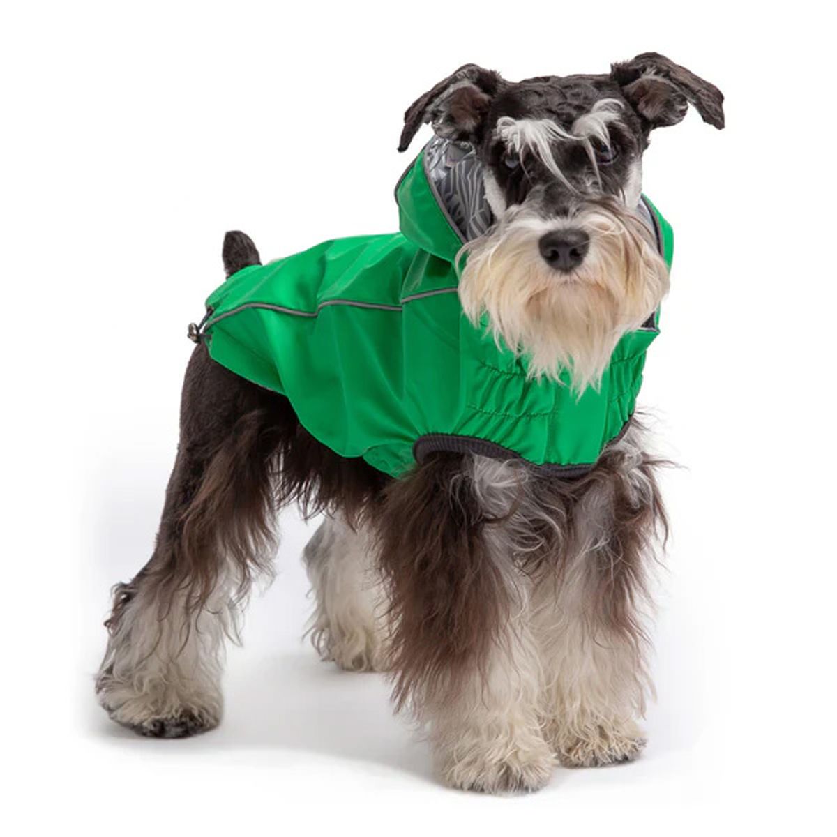 GFM - Impermeable Para Perro GFPet Reversible Verde - Talla Small