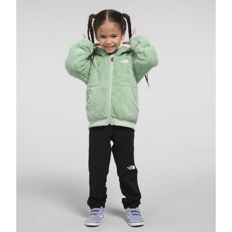 THE NORTH FACE - Polar Suave Oso Full-Zip Hoodie Verde THE NORTH FACE