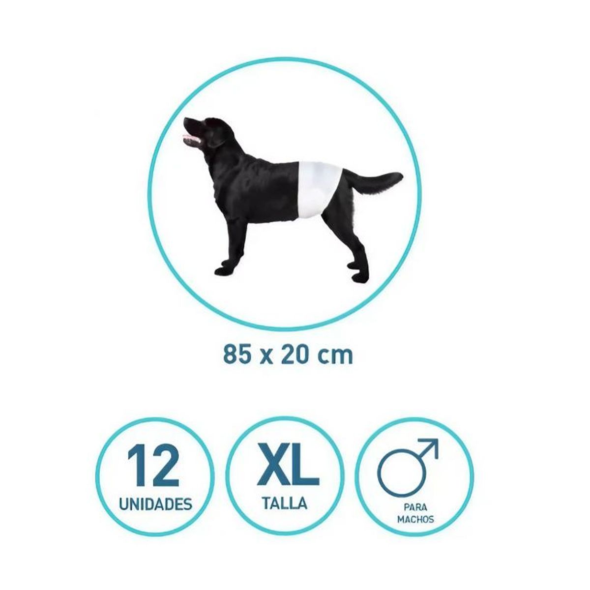 GENERICO - 12 Pañales Para Perro Macho Xl