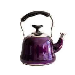 GENERICO - Tetera De Té Con Filtro 1 Lt Morada