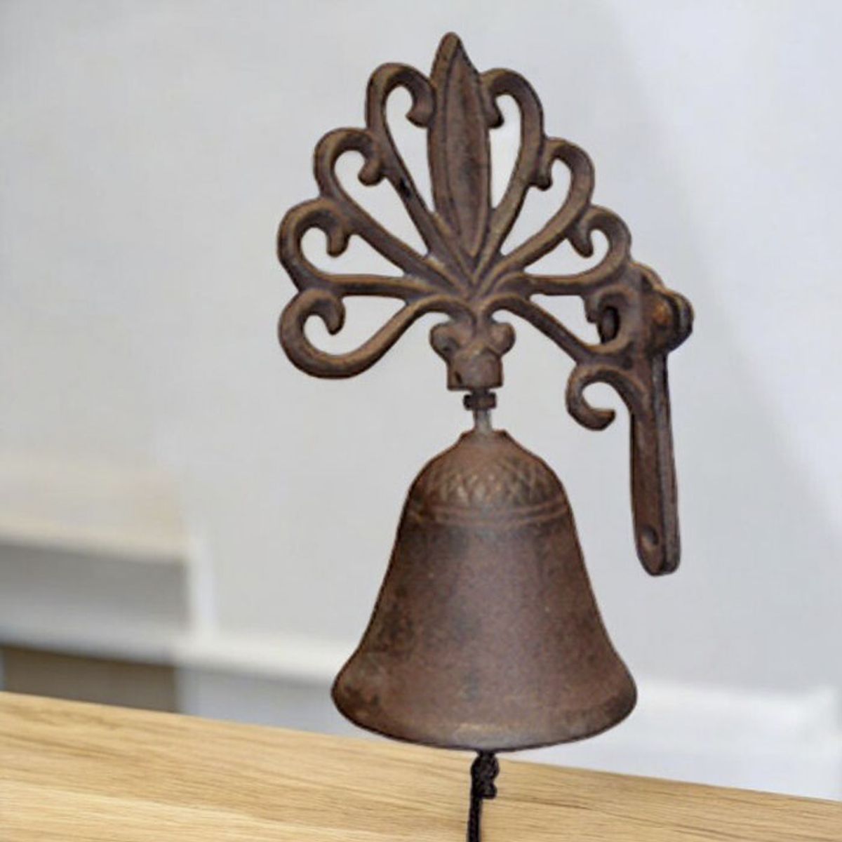 Campana de hierro fundido, marca BRIC - Foto 2