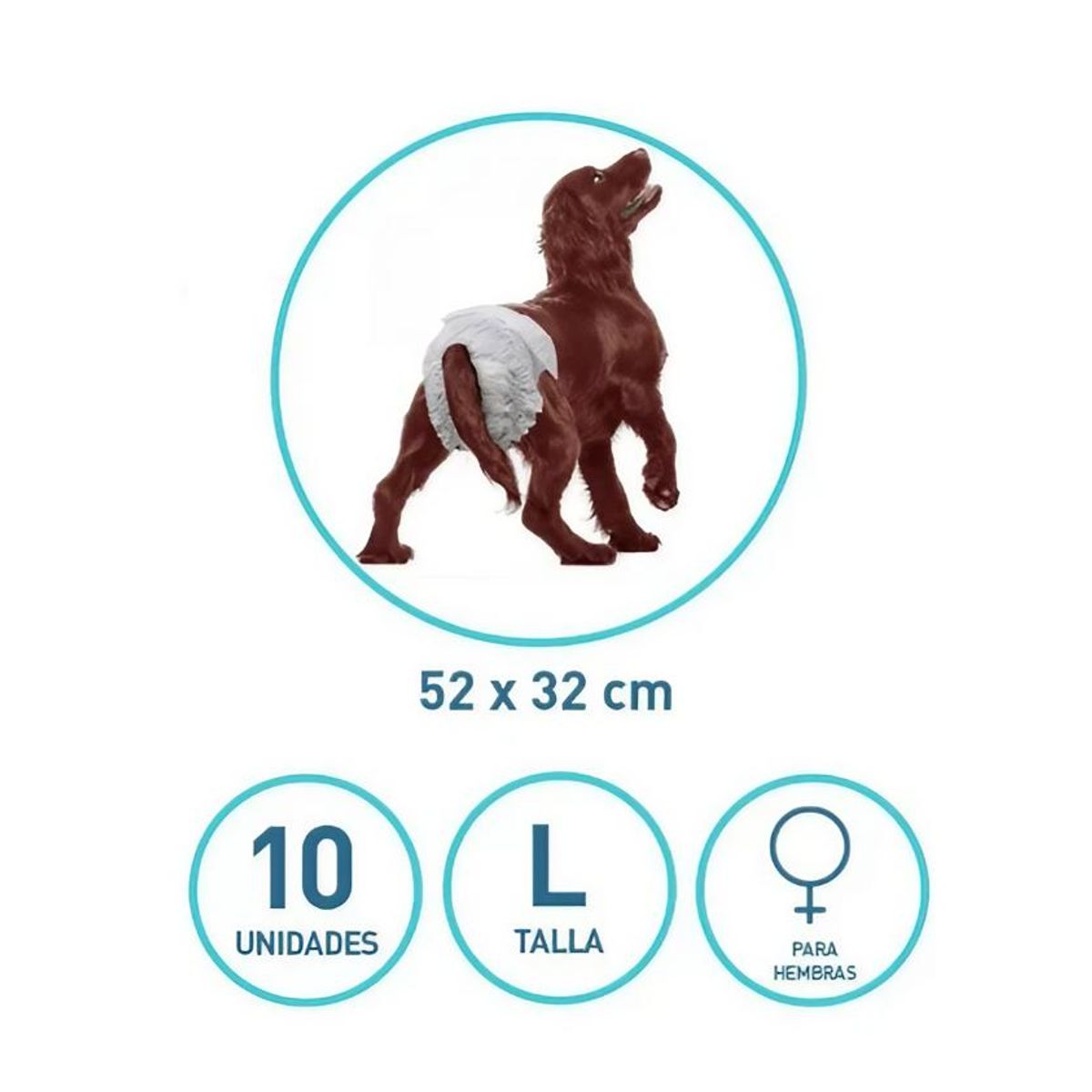 GENERICO - 10 Pañales Para Perro Hembra L
