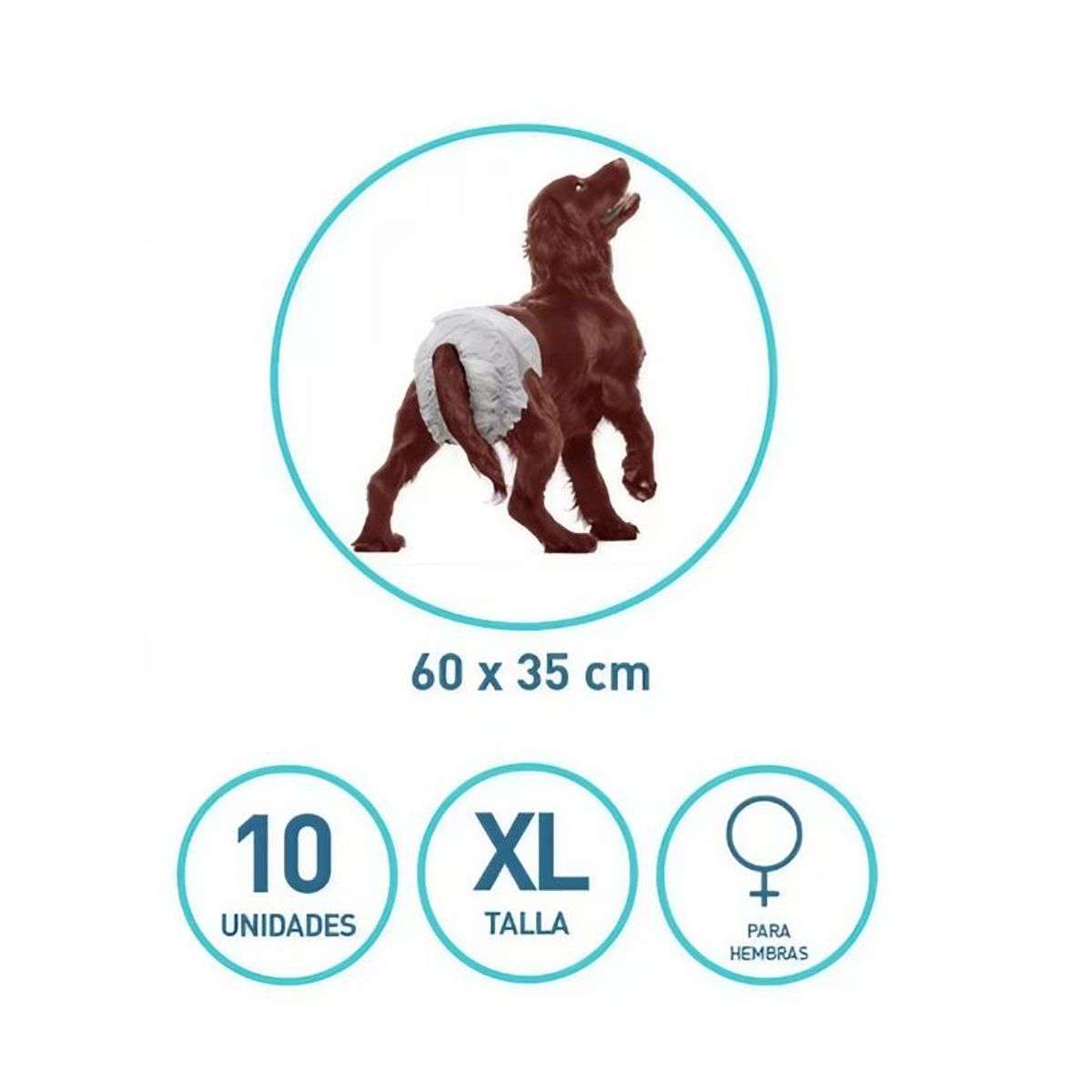 GENERICO - 10 Pañales Para Perro Hembra Xl