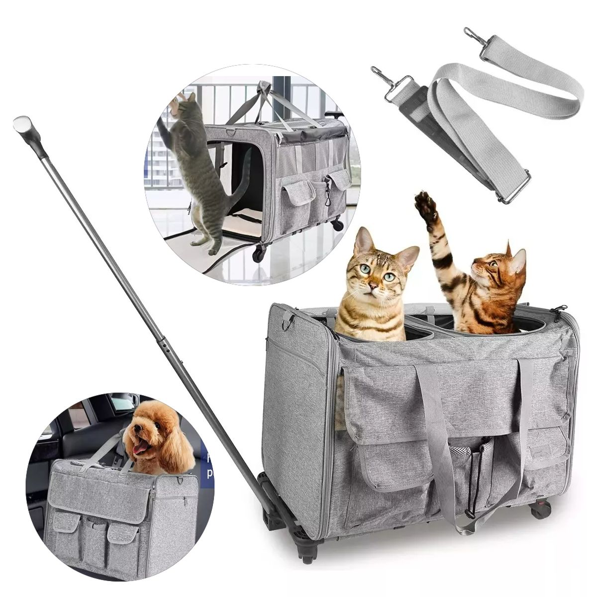 AIZO - Mochila Con Rueda Para Perros Gato Transportador De Mascotas