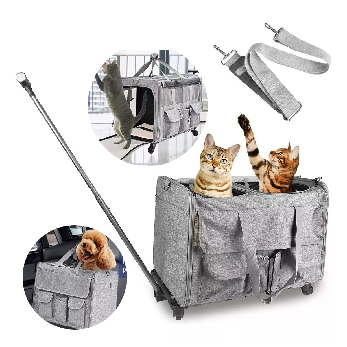 AIZO - Mochila Con Rueda Para Perros Gato Transportador De Mascotas