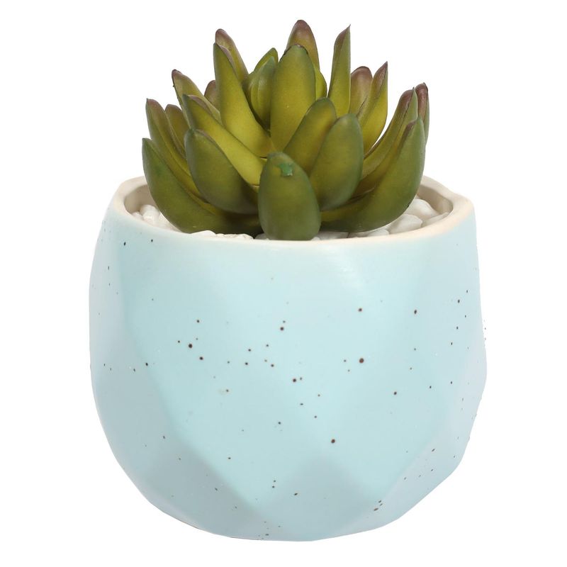 THE GREEN ELEMENT - Suculenta En Macetero Celeste 14 Cm