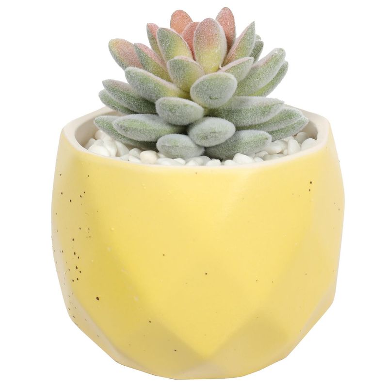 THE GREEN ELEMENT - Suculenta En Macetero Amarillo 14 Cm