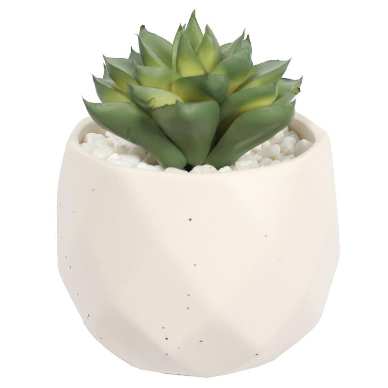 THE GREEN ELEMENT - Suculenta En Macetero Crema 14 Cm