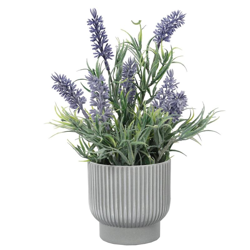 THE GREEN ELEMENT - Mini Lavanda 25 Cm