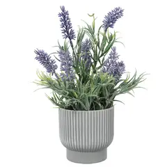 THE GREEN ELEMENT - Mini Lavanda 25 Cm