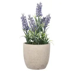 THE GREEN ELEMENT - Mini Lavanda 22 Cm
