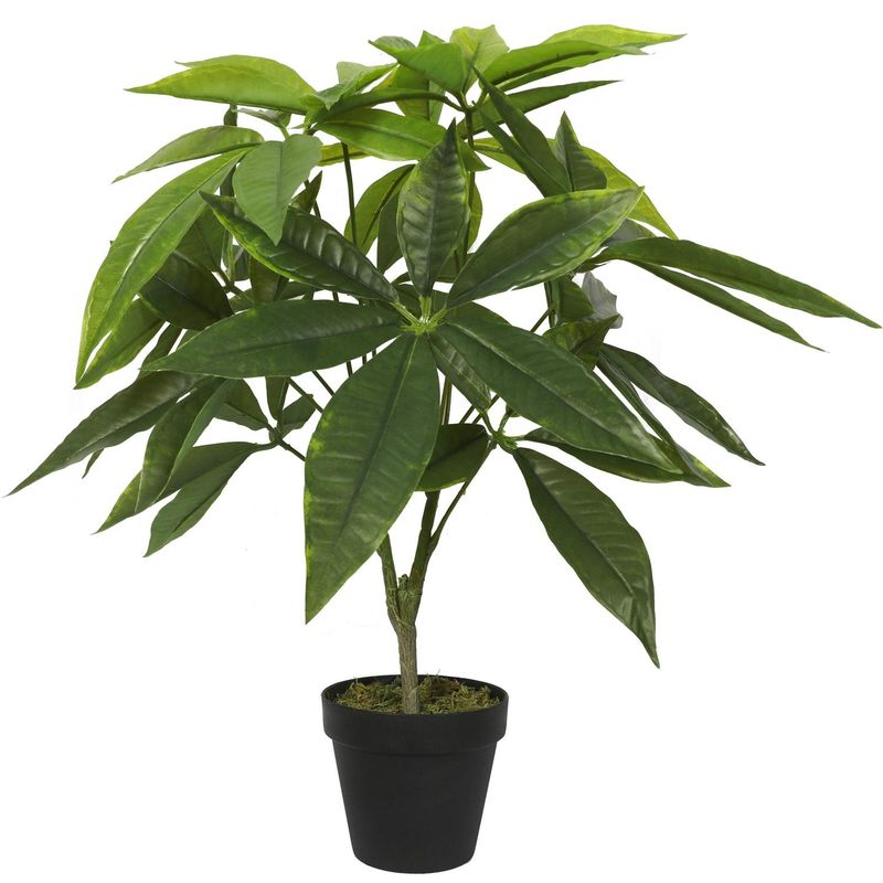THE GREEN ELEMENT - Planta Artificial Pachira 55 CM