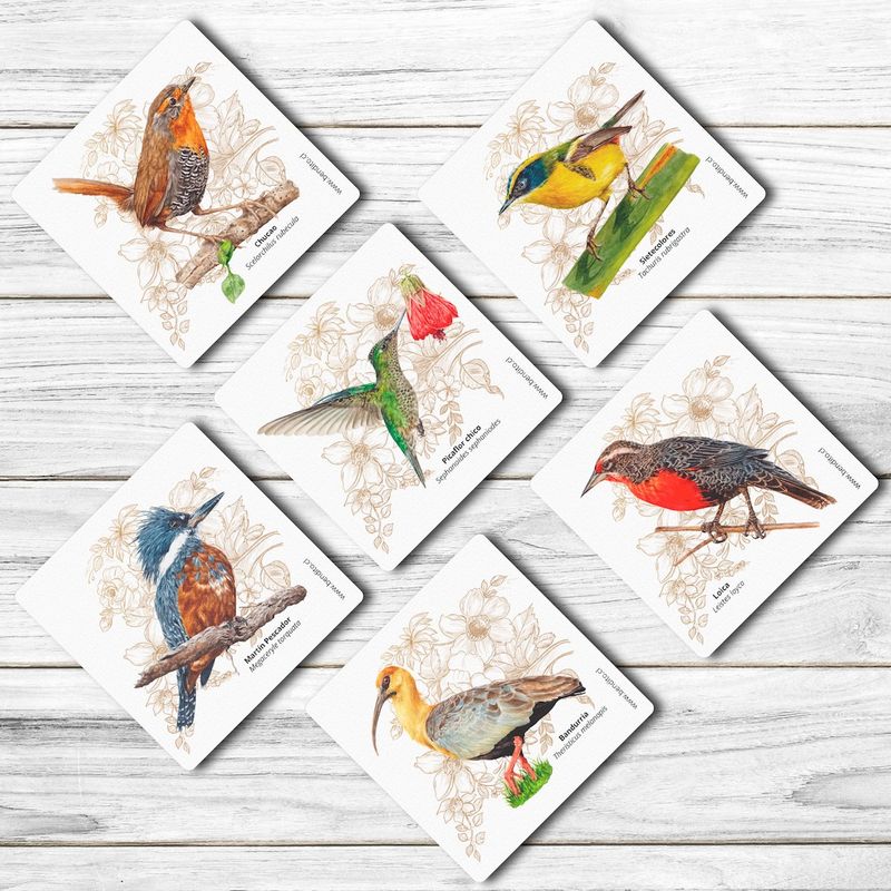 BENDITO - Set 6 Posavasos Aves de Chile