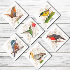 BENDITO - Set 6 Posavasos Aves de Chile