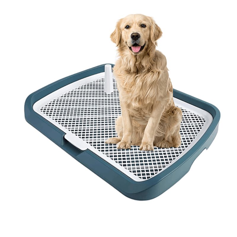CRUSEC - Baño Inodoro De Entrenamiento Para Perros Con Pilar Urinario