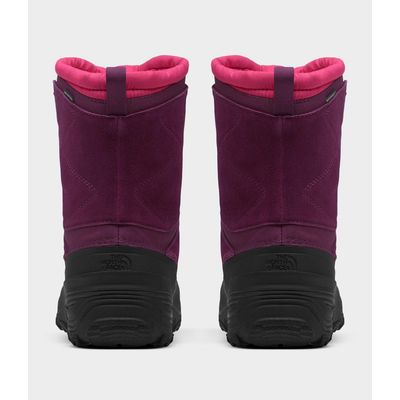 Imagen 2 del producto Bota Alpenglow V Wp Burdeo