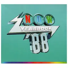 HITWAY MUSIC - NOW YEARBOOK 1988 - VARIOUS (3CD) - CD