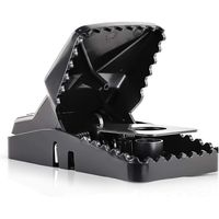 15 Trampas Para Ratones Seguras Y Efectivas