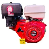 Motor Estacionario 15hp - Profesional Japon