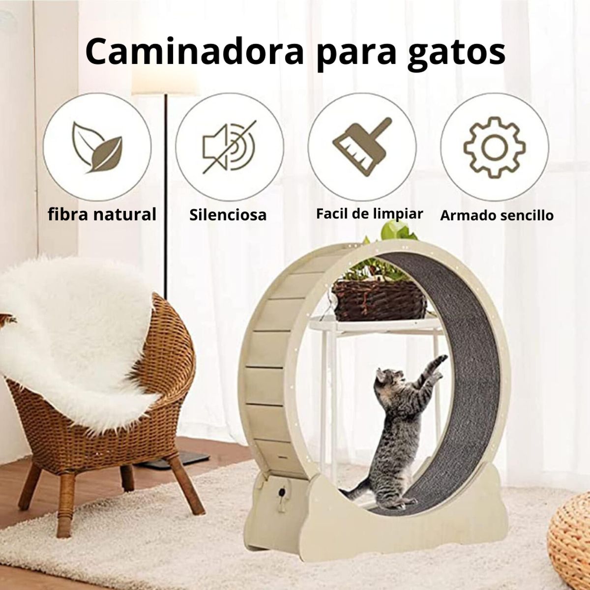 CRUSEC - Rueda Caminadora Para Gatos Entrenamiento Gigante XL