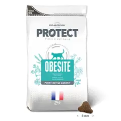 PRO NUTRITION FLATAZOR - Protect Alimento Obesite Gato 2Kg