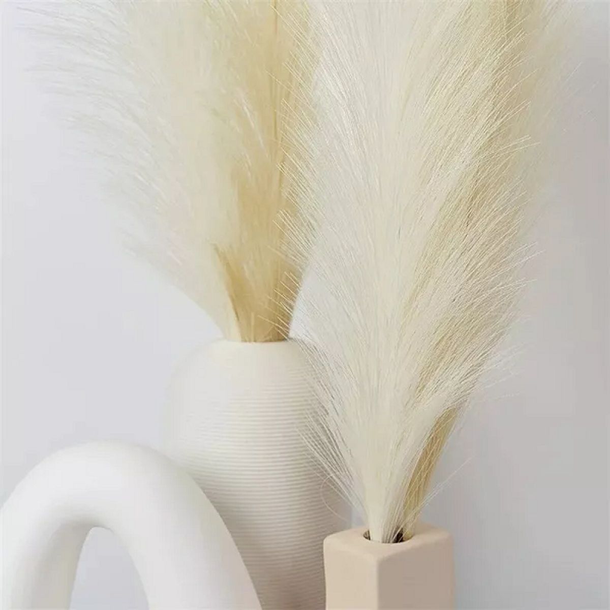 GENERICO - Cola De Zorro Decoración Pampa Boda Hogar 110 Metros Boho