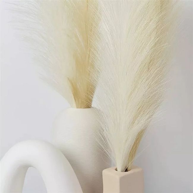 GENERICO - Cola De Zorro Decoración Pampa Boda Hogar 110 Metros Boho