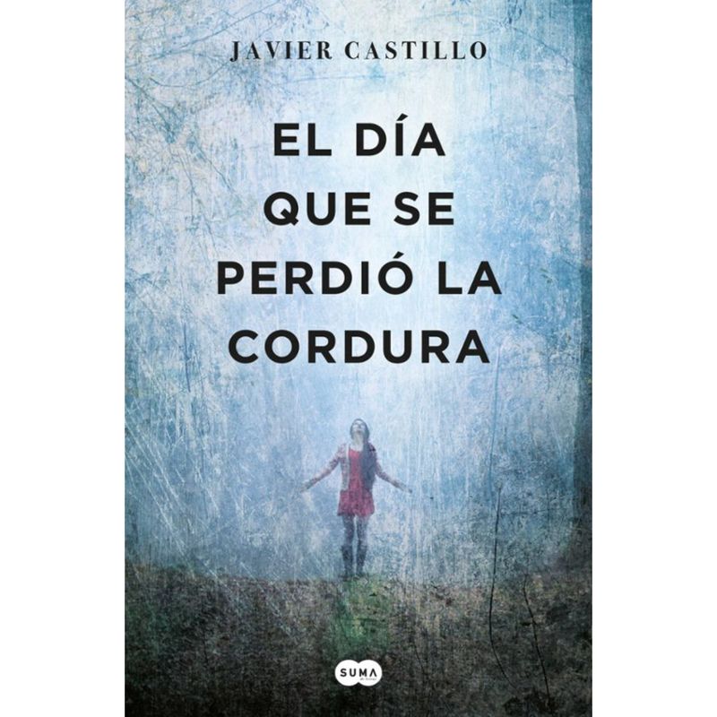 SUMA DE LETRAS - El Dia Que Se Perdio La Cordura