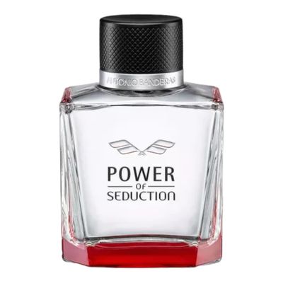 Imagen 2 del producto Power Of Seduction Edt 100ml Hombre