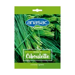 ANASAC - Semilla Ciboulette 1 Gr