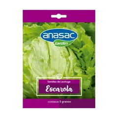 ANASAC - Semilla Lechuga Escarola 5 Gr