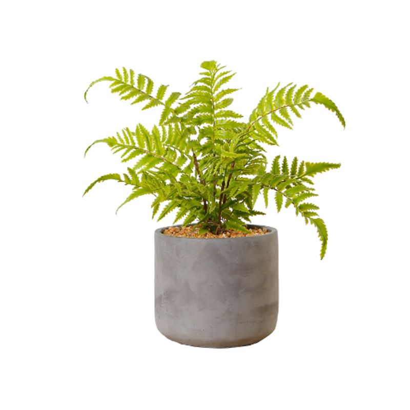 PLANT ME - Planta Artificial Eco-sintética Decorativa Helecho En Macetero
