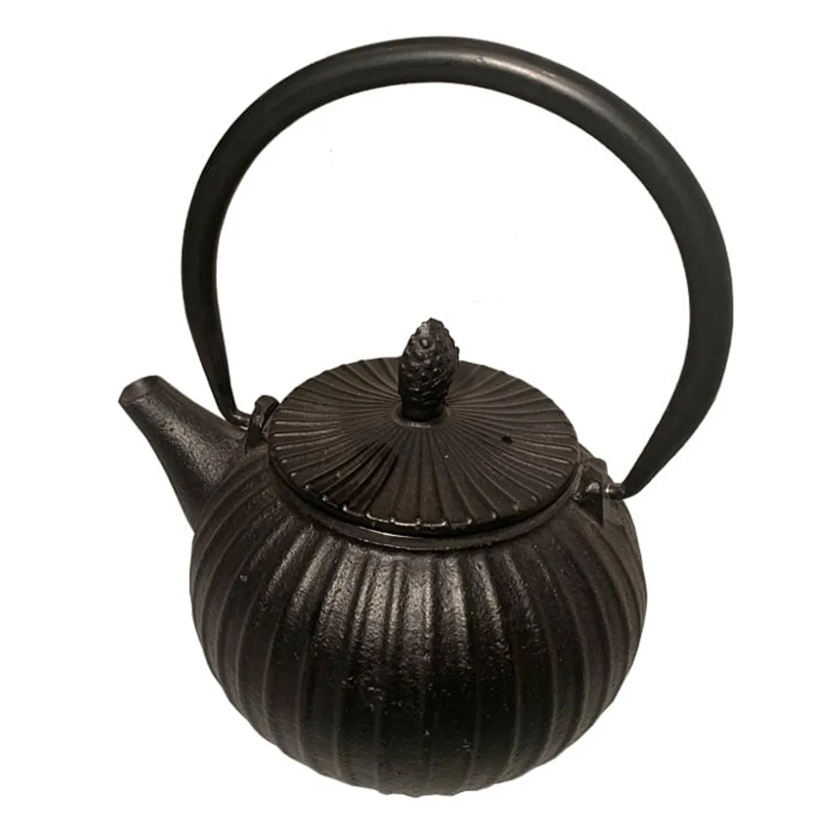 BRIC - Tetera Negra Fierro con infusor.