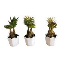 Suculentas Artificiales Con Macetero. Pack De 3. Decoracion