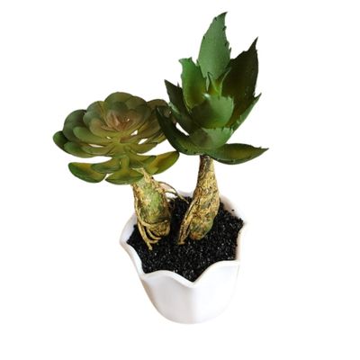 Imagen 2 del producto Suculentas Artificiales Con Macetero. Pack De 3. Decoracion