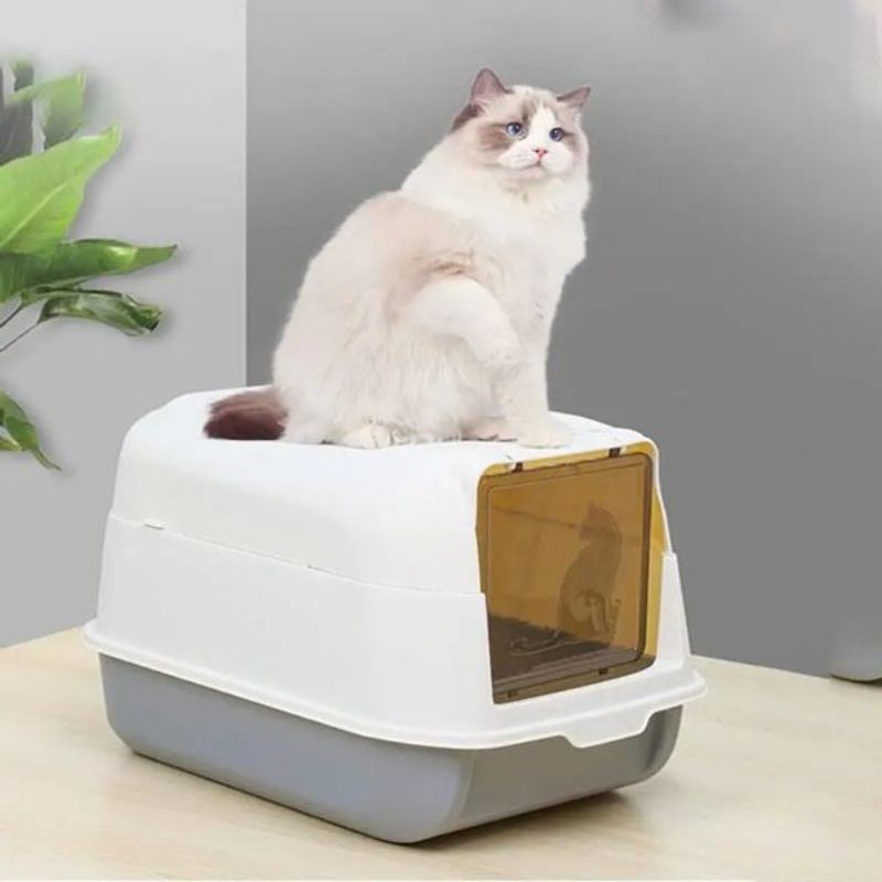 GENERICO - Arenero Bandeja De Arena Caja Sanitaria Para Gatos